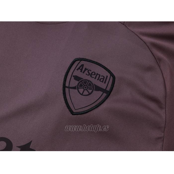 Chandal del Arsenal Manga Corta 2024-2025 Gris Purpura - Pantalon Corto